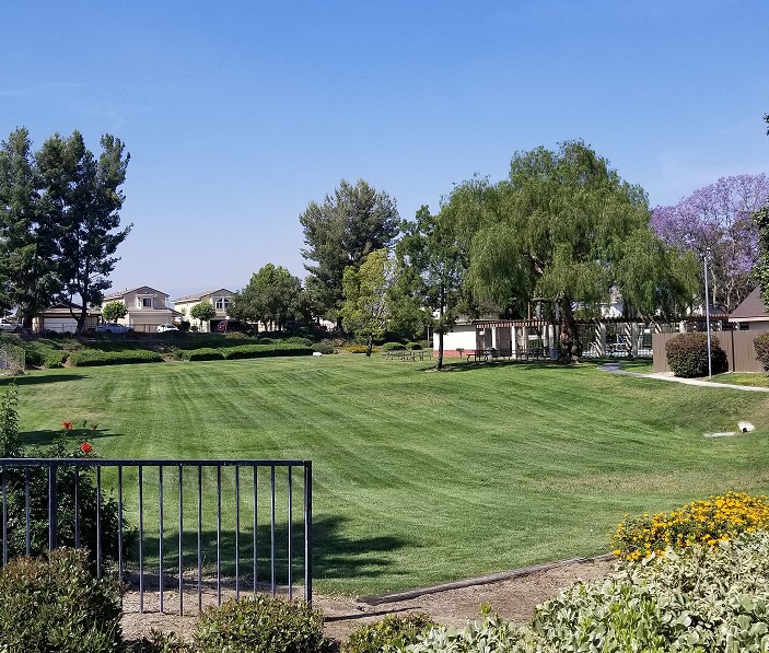 PEPPER RIDGE HOMEOWNERS ASSOCIATION